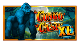 Congo Cash XL