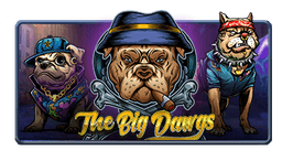 The Big Dawgs