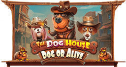 The Dog House â Dog or Alive